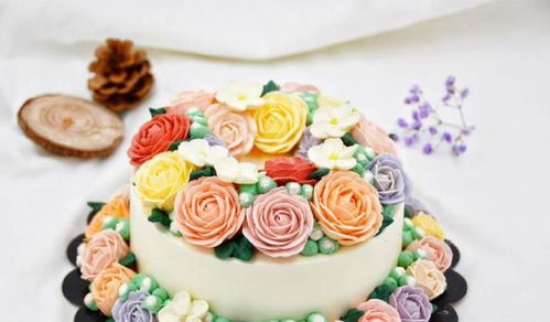 單縣菏澤蛋糕培訓(xùn)班烘焙巨惠價(jià)就業(yè)難的新出路