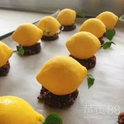 【東莞三月西點(diǎn)咖啡調(diào)酒培訓(xùn)學(xué)校,現(xiàn)正火熱招生中!!】-