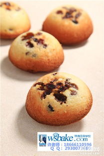 珠海王森培訓學校一年烘焙西點班開課了