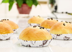 鄭州新東方西點(diǎn)培訓(xùn) 烘焙培訓(xùn) 蛋糕培訓(xùn) 烘焙培訓(xùn) 法式甜品培訓(xùn) 鄭州新東方西點(diǎn)西餐培訓(xùn)學(xué)校1