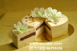 深圳市與陽江西點烘焙培訓學校對比 王森、劉科元和東南哪家更值得選擇？