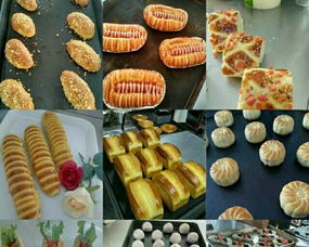 技高西點蛋糕培訓專業(yè)學校 陽江西點教育的卓越之選